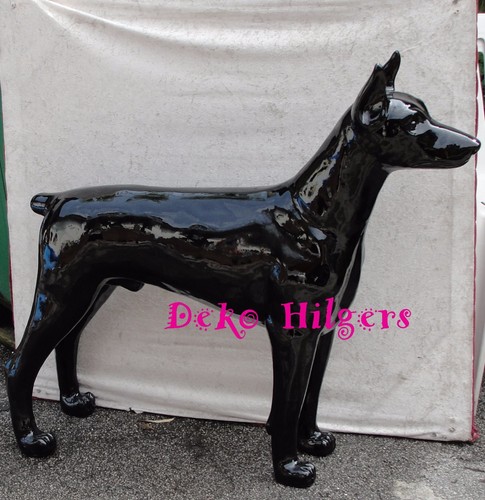 Dobermann lebensgroß stehend - dobermann,