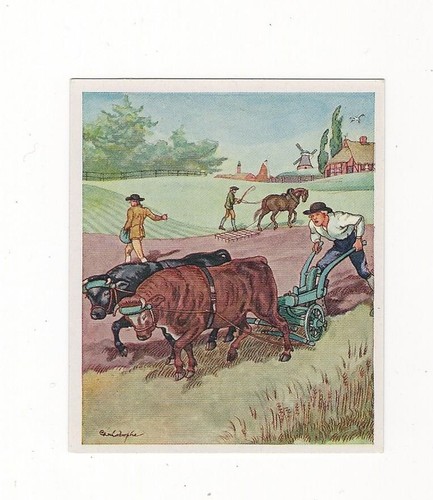 658 sammelbild brauchtum - 11/658,