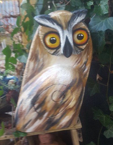 Tier eule bogenschießen - 3d,