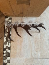 Hirschgeweih Abwurfstange Geweih mit 8 Schnapsglässer Grappaglas