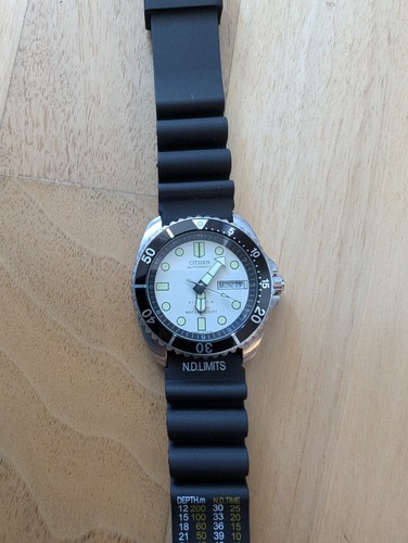 Citizen ny2300 promaster - citizen,