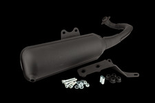 Auspuff Vespa Primavera 2T