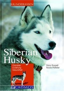 Siberian husky charakter - siberian,