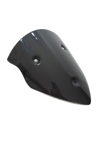 Frontscheibe racing carbon - frontscheibe,