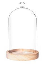 Glasglocke Glaskuppel Holzsockel Glocke Glasdom 19x12 cm modern Dekoration Deko