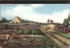 Lutterloh Weg Wesen Lutterloh