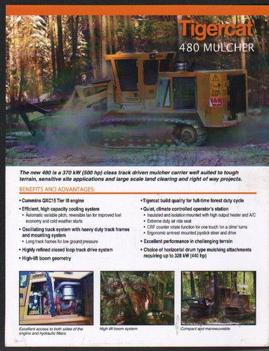 Tigercat holzfäller - tigercat,