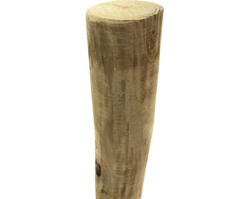 Robinien palisade 175 cm - robinien-palisade, x