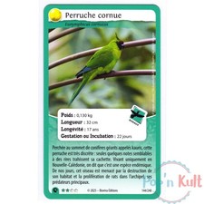Nature protect 144 - nature,