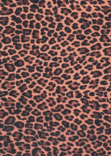 Papier leopard - papier,