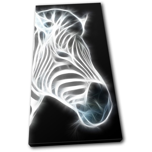 Zebra illustration w - illustration,