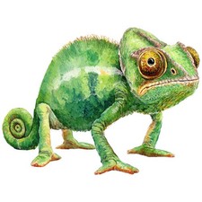 8x Sticker Chameleon Car