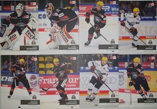 Del playercards 2024 - playercards, 2024/2025