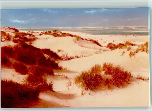 40115205 2985 baltrum duenen - 40115205,
