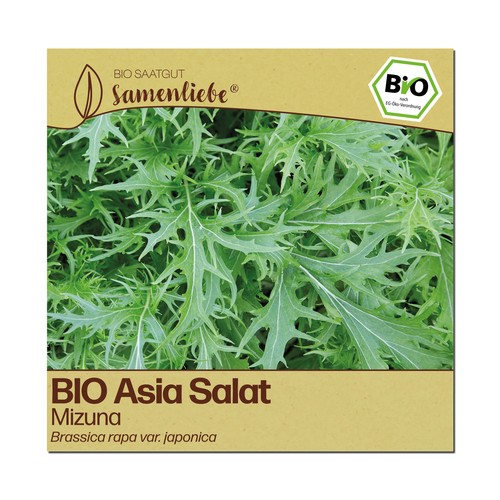Bio salat samen sorte mizuna - sorte,