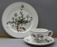 Villeroy & Boch Botanica  1
