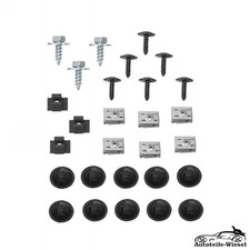 Unterfahrschutz Clips Set für