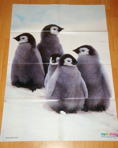 ✿RIESEN-TIER-POSTER