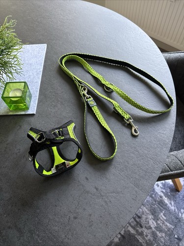 Hunter hundegeschirr set mit - hunter,