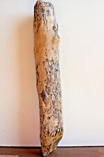 Treibholz Schwemmholz, 1 Stamm Garten Dekoration Garten  Weihnachten 