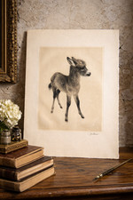 Kurt Meyer-Eberhardt Signed