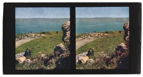 Stereo-Fotografie