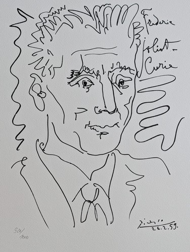 Pablo picasso frederic - pablo,