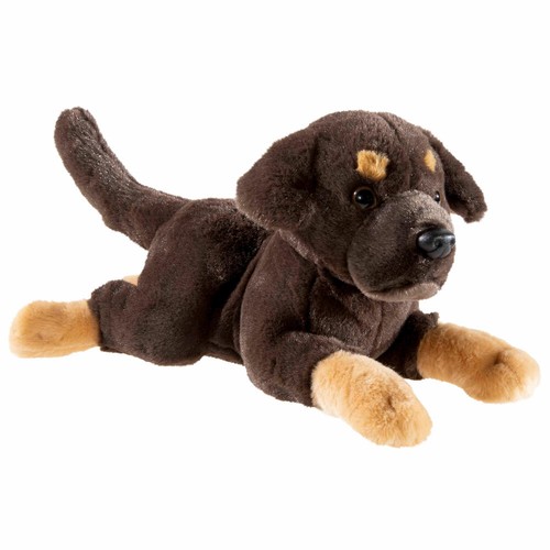 Heunec puppy labrador liegend - heunec,