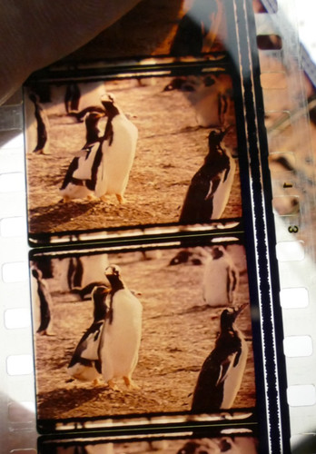 35mm kinofilm islands the - "islands,