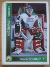 DEL 1994/95 Augsburger Panther Team Set Komplett 27 Karten mit Checkliste & Logo