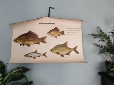 alte Rollkarte Lehrtafel