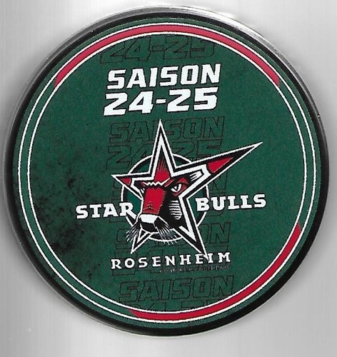 Eishockey puck emblem star - emblem,
