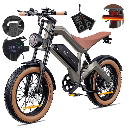 1500w elektrofahrrad herren - 1500w,