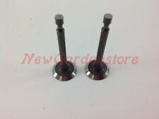 Kit Ansaug- Und Auslassventile