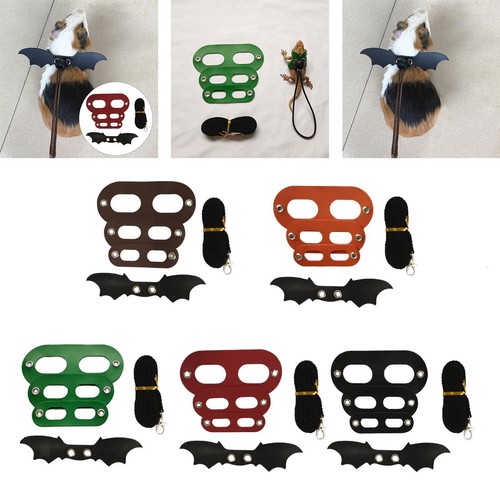 Lizard leash - lizard,