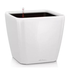 Lechuza Pflanzengefäß QUADRO