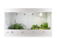 Lucky Reptile IsoTarrium