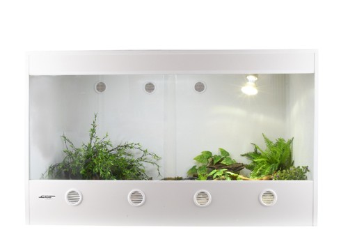 Lucky reptile isotarrium - lucky,