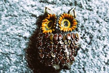 Eule aus Kernen, braun-gelb-schwarz, 7 cm