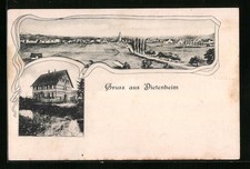 Dietenheim, Einzelhaus, Panorama des Ortes mit Landstrasse, Ansichtskarte 