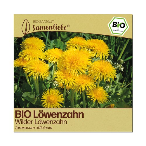 Bio löwenzahn samen sorte - bio,
