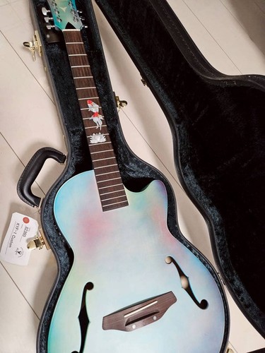 Elektrische akustikgitarre - elektrische,