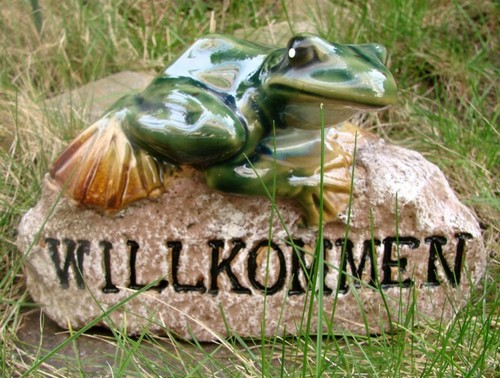 Frosch willkommensschild - frosch,