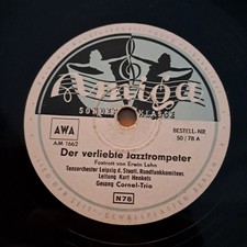 Schellackplatten Konvolut
