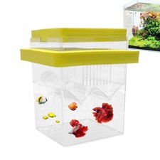 Aquarium Fisch Tank Zucht