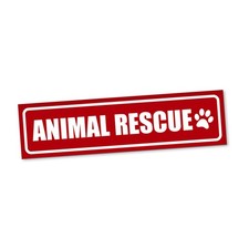Animal Rescue Magnetschild Auto Tierschutz Tierretter Magnetfolie Geschenkidee