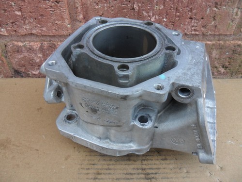 Rotax max senior - senior,