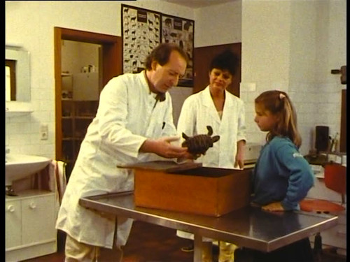 16mm kurzspielfilm besuch - 16mm,