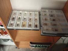 Minie Biester - Insektensammlung In Acryl 