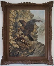 Steinadler am Horst m. Jungen